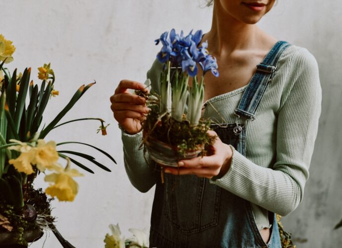 Photo Indoor Garden