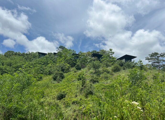 Photo Tropical paradise
