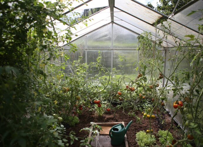 Photo Garden oasis