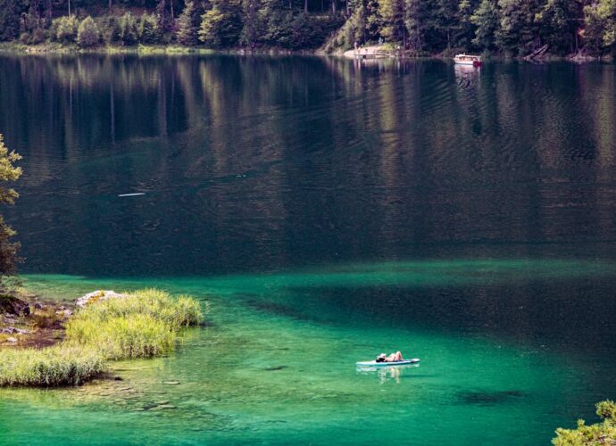 Photo Green oasis