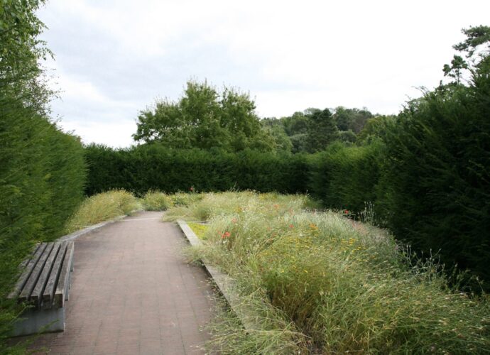 Photo Garden path