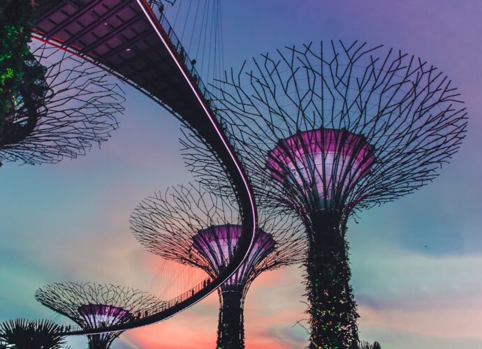 Photo Vertical garden