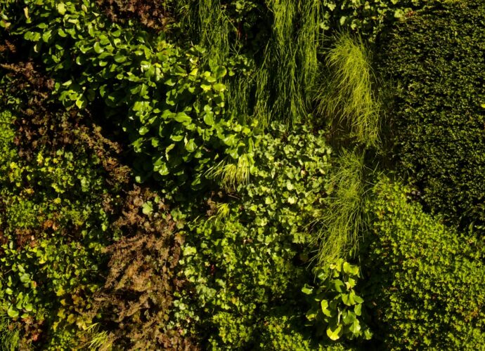 Photo Vertical garden