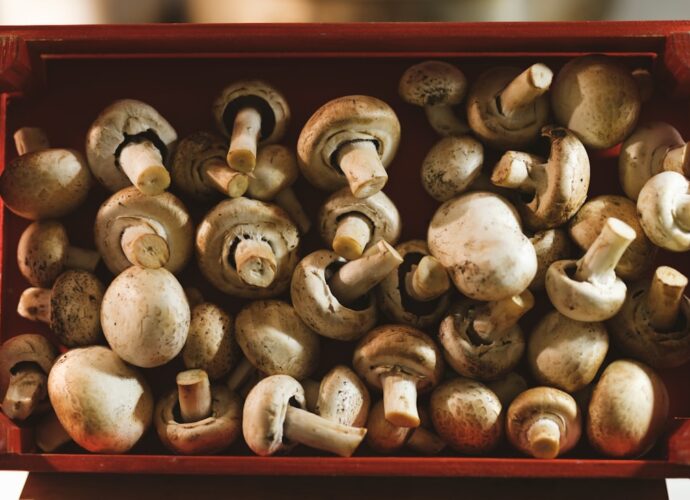 Photo Global cuisine