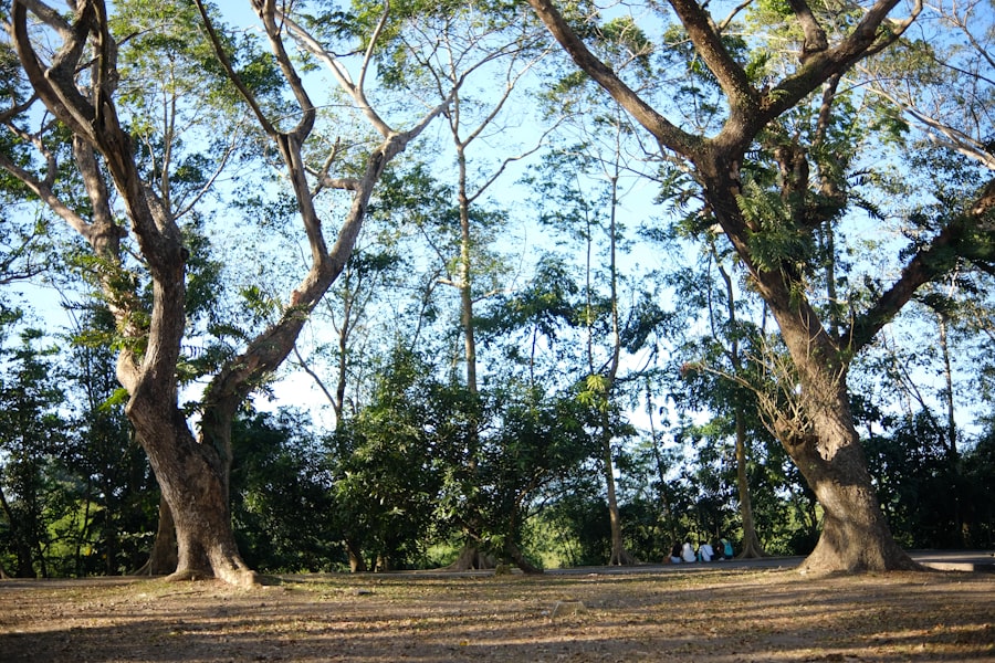 Film still