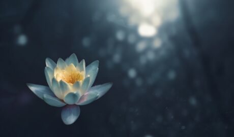 Photo power within