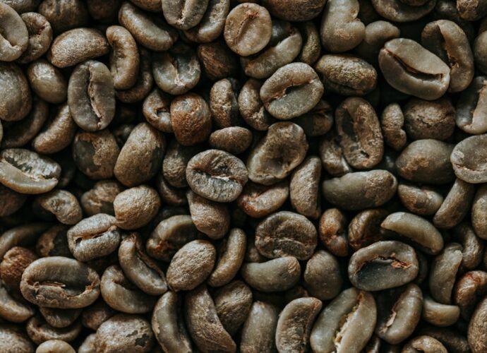 Photo types of coffee