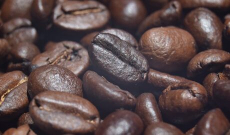 Photo coffee Arabica vs Robusta