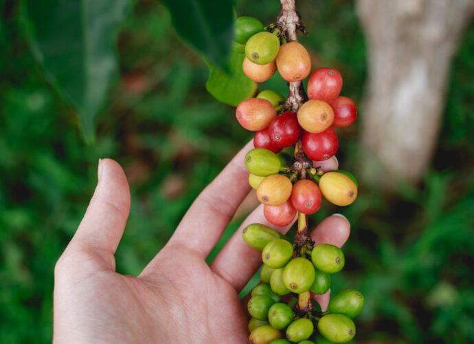 Photo coffee culture