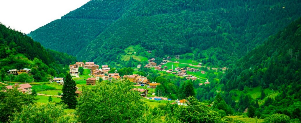 Photo arome dulci și sărate