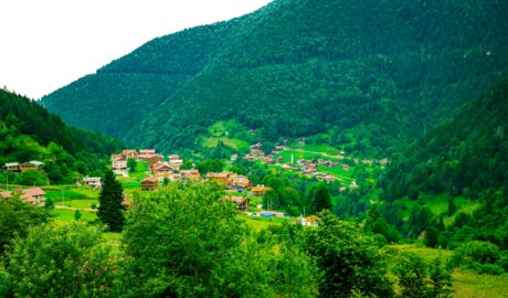 Photo arome dulci și sărate