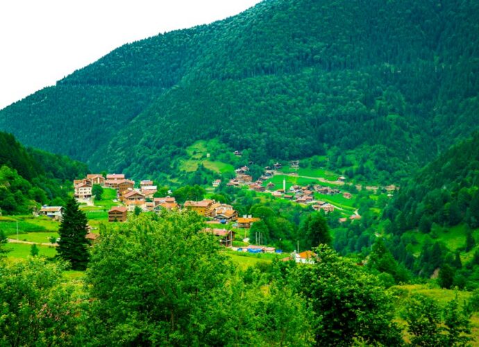 Photo arome dulci și sărate