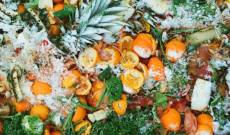 Photo reduce food waste