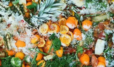 Photo reduce food waste