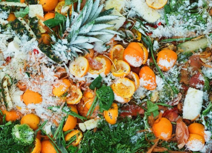 Photo reduce food waste