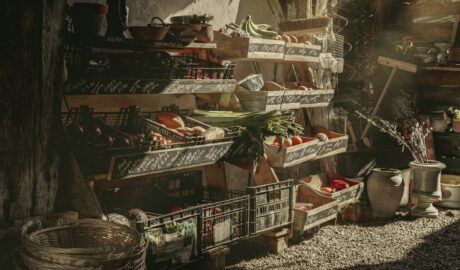 Photo storage of fresh ingredients