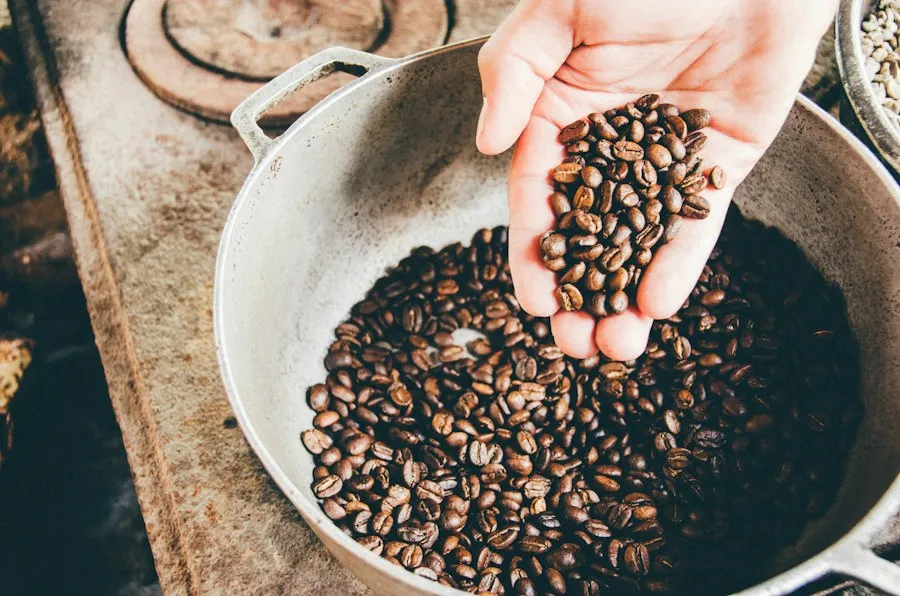 coffee facts curiosities