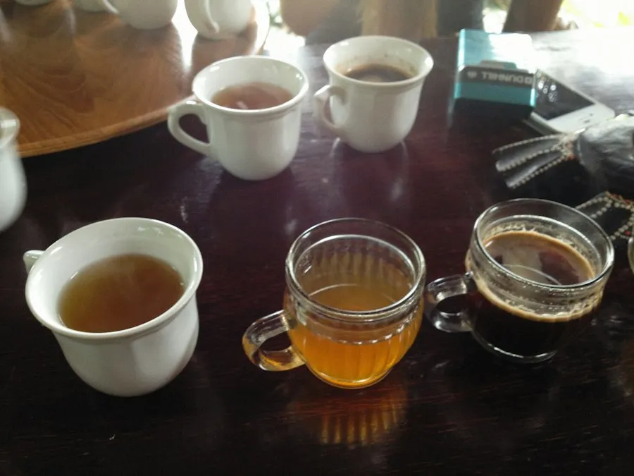 tea vs coffee comparison