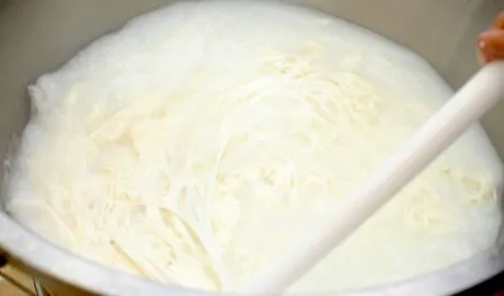 Photo milk frothing technique silky texture