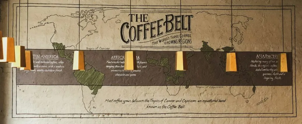 Photo coffee economy infographic
