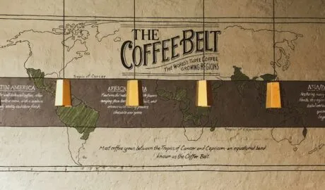 Photo coffee economy infographic
